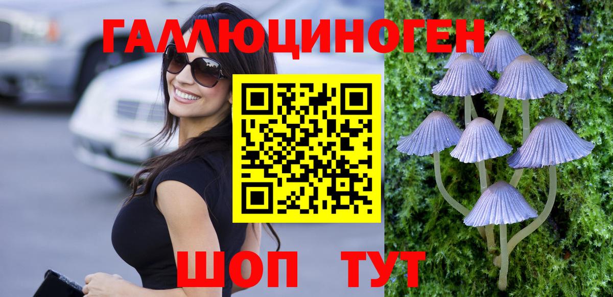 Галлюциногенные грибы Cubensis Новоалександровск