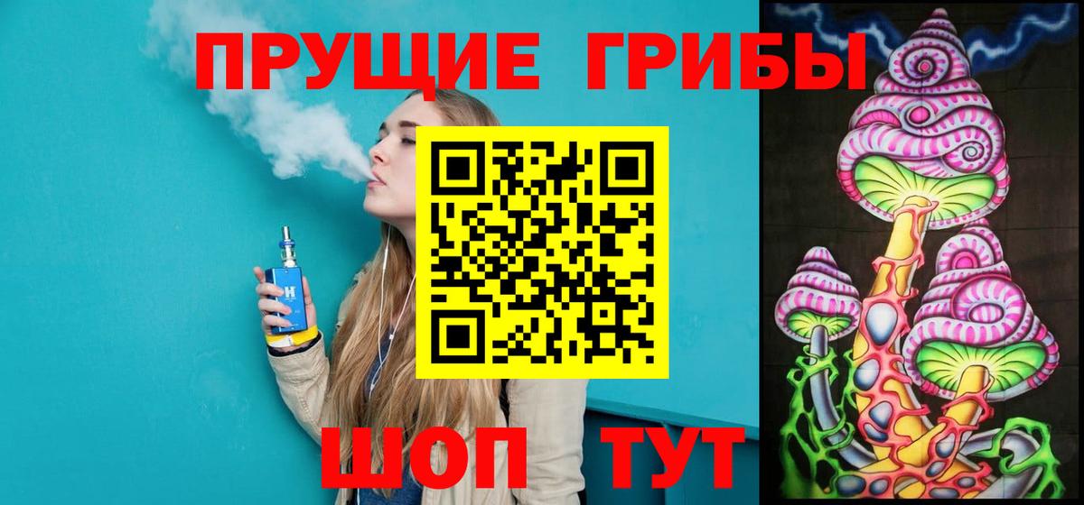 Псилоцибиновые грибы Cubensis  Вход с VPN  Новоалександровск 